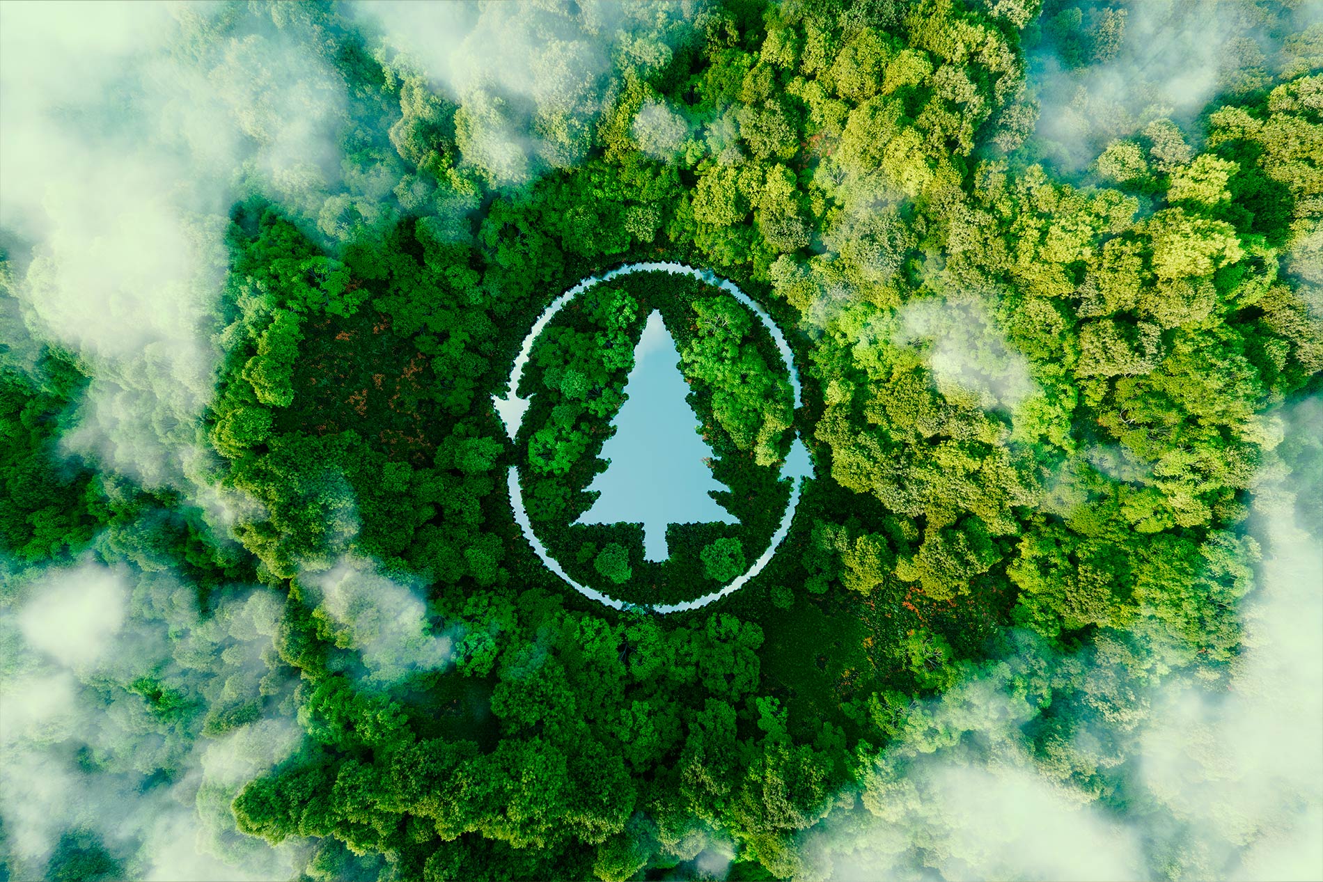 Ambiente - Brico Legno Store