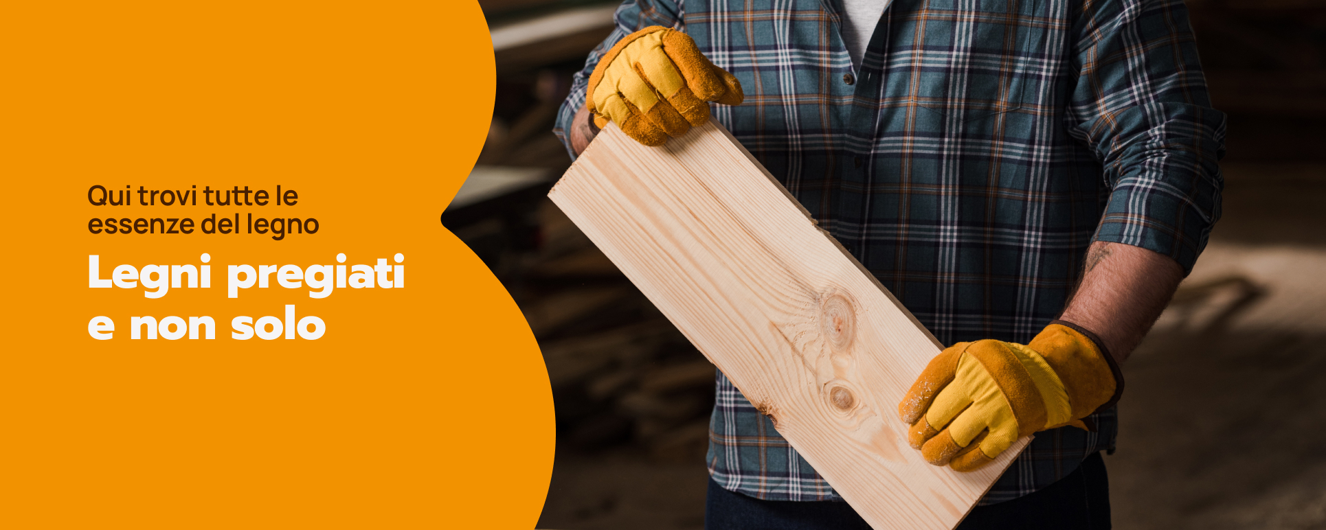 Qui trovi tutte le essenze del legno