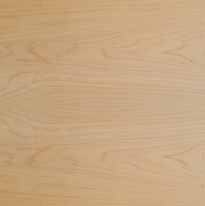 tavola-legno-acero-americano-hard-maple-venatura-bricolegnostore4