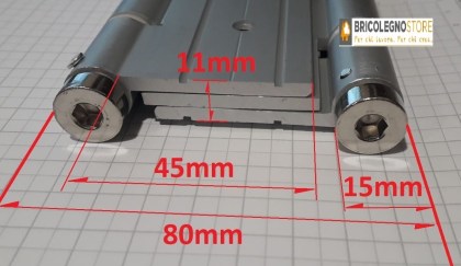 Cerniera a Molla Doppia Azione 180 mm